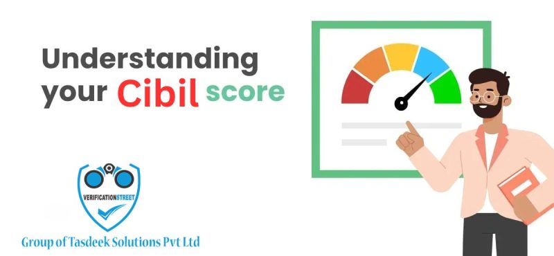 understanding your cibil score everthing you need to know